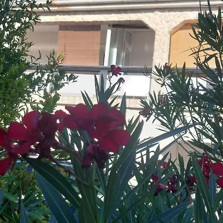 Apartament Well Bee Oase *